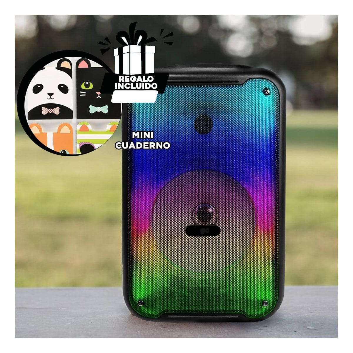 PACK4 REPRODUCTOR POTENTE PARA SU EVENTO CON LUCES LED Y BLUETOOTH DE 8 PULGADAS - 5