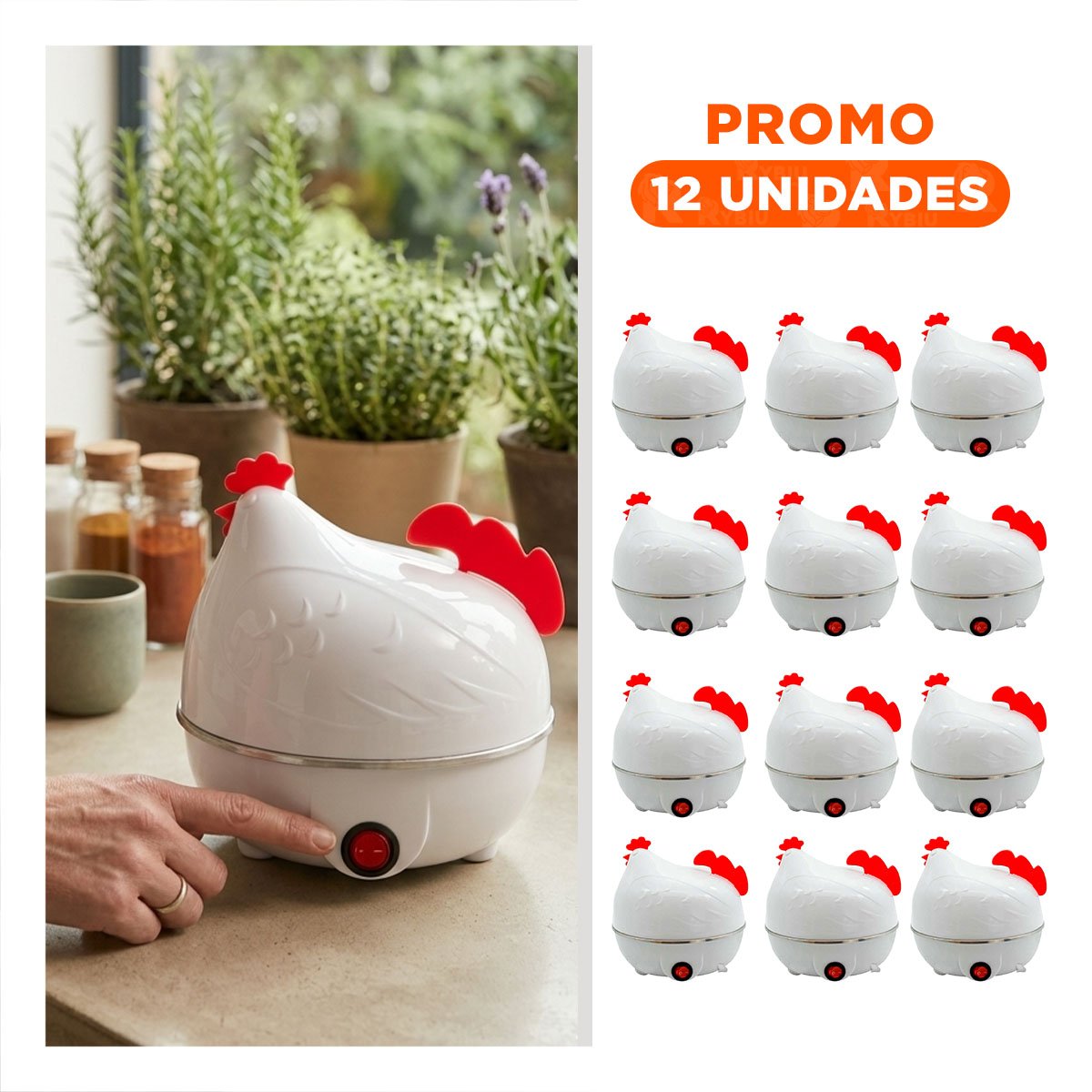 PACK12 HERVIDORA GALLINA BLANCA PARA COCER HUEVOS EN HOGAR Y+REGALO STICKER - 1