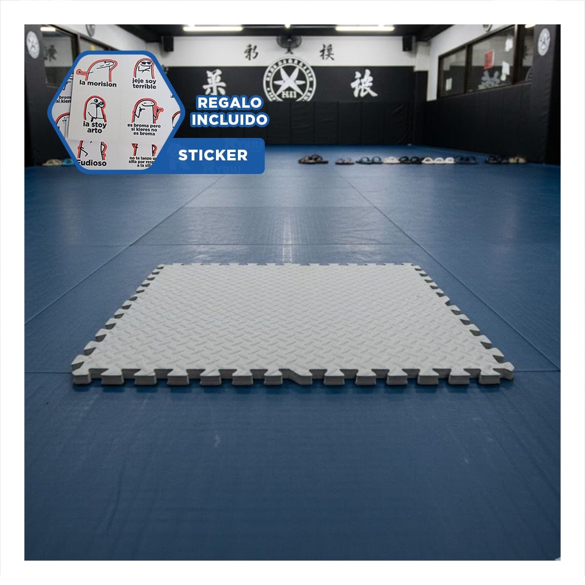 COLCHONETA PARA ENTRENAMIENTO EN CASA PLOMO YREGALO STICKER - 1