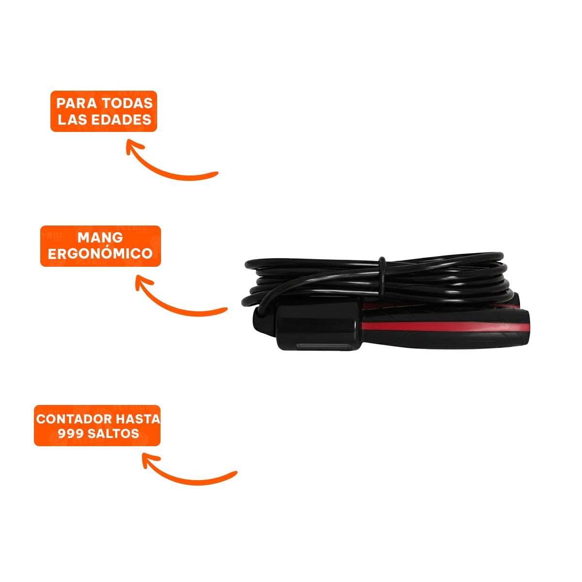 PACK6 CARDIO EN CASA CON CUERDA COMPACTA 280CM NEGRO YREGALO STICKER - 2