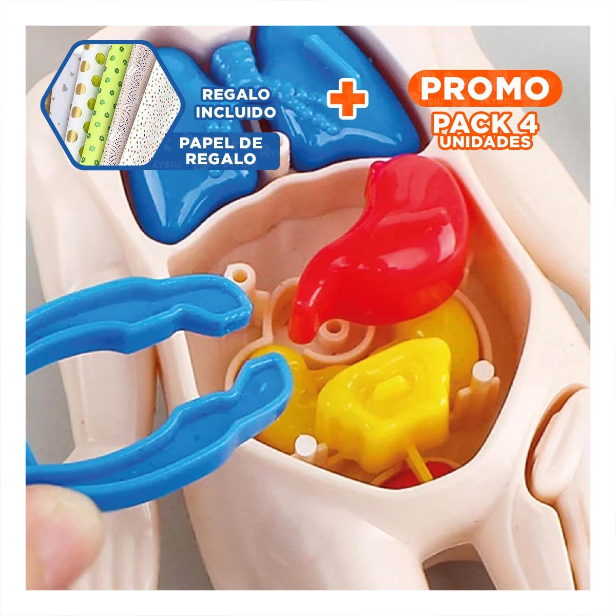 PACK4 APOYO ESCOLAR DE ORGANOS HUMANOS MULTICOLOR PARA ESTUDIO YPAPEL REGALO - 1