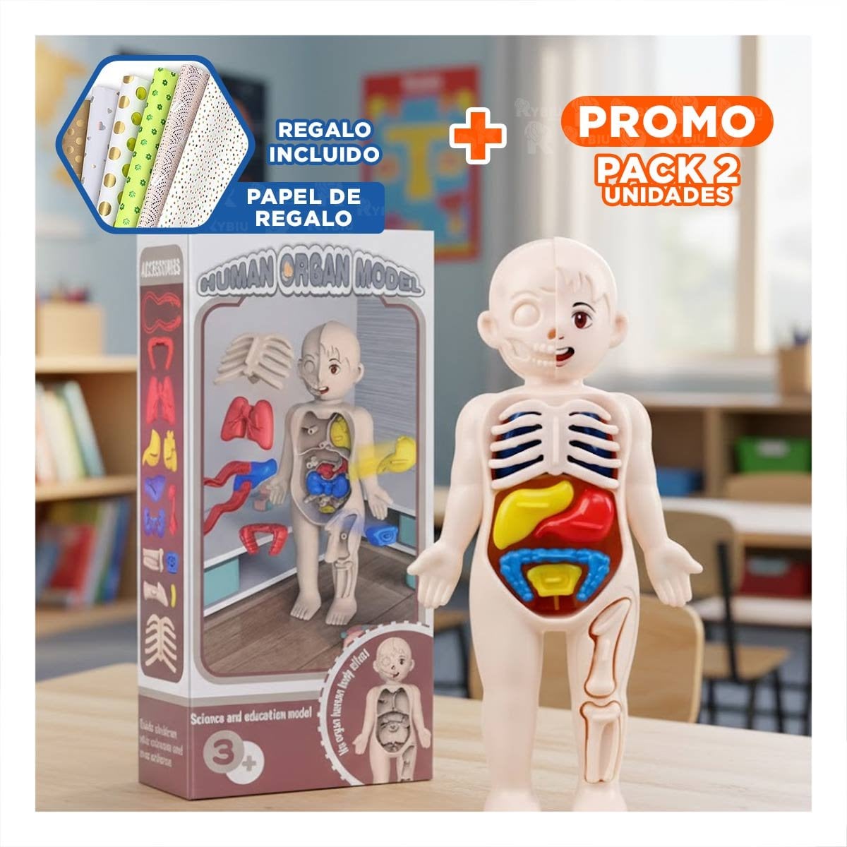 PACK2 FORMATO DE ORGANOS HUMANOS MULTICOLOR PARA USO EDUCATIVO YPAPEL REGALO - 1