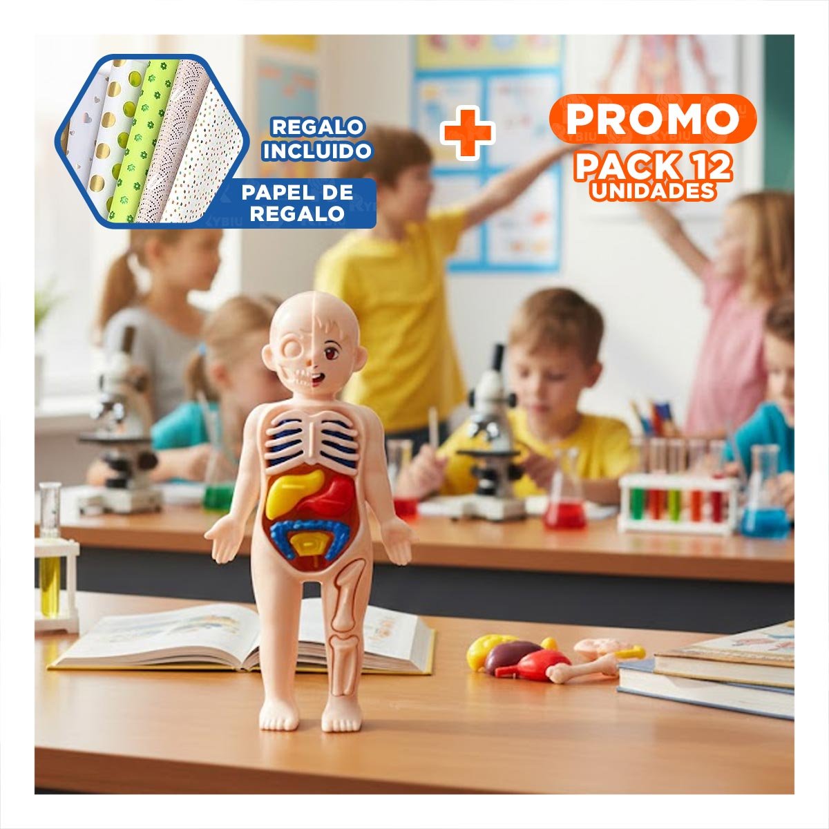 PACK12 MAQUETA ANATOMICA DE ORGANOS HUMANOS MULTICOLOR PARA AULA YPAPEL REGALO - 1