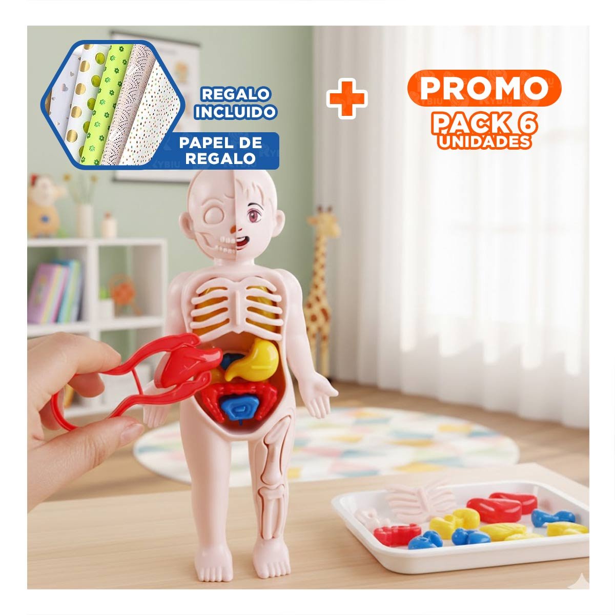 PACK6 HERRAMIENTA ESCOLAR DE ORGANOS HUMANOS MULTICOLOR PARA AULA YPAPEL REGALO - 1