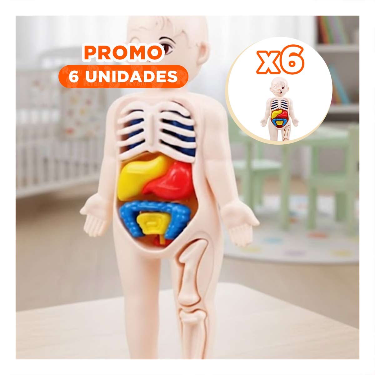 PACK6 FIGURA DIDACTICA DE ORGANOS HUMANOS MULTICOLOR PARA ESTUDIO BASICO YREGALO STICKER - 1