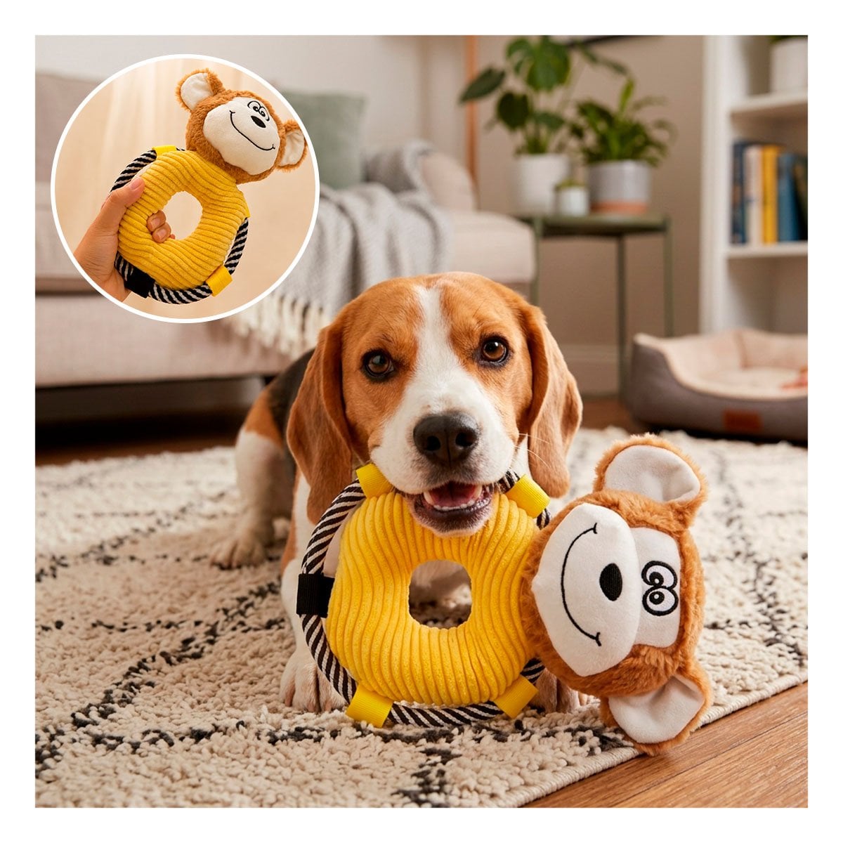 PACK6 PELUCHE SUAVE MONO ARO MARRON PARA ESPACIOS INFANTILES Y REGALO YPAPEL REGALO - 3