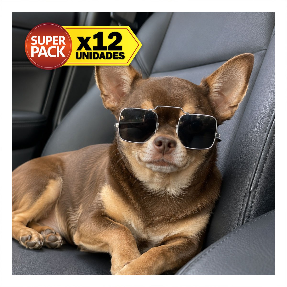 PACK12 ANTEOJOS DECORATIVOS PARA MASCOTA CON DISENO CUADRADO NEGRO PARA EVENTOS YREGALO STICKER - 1