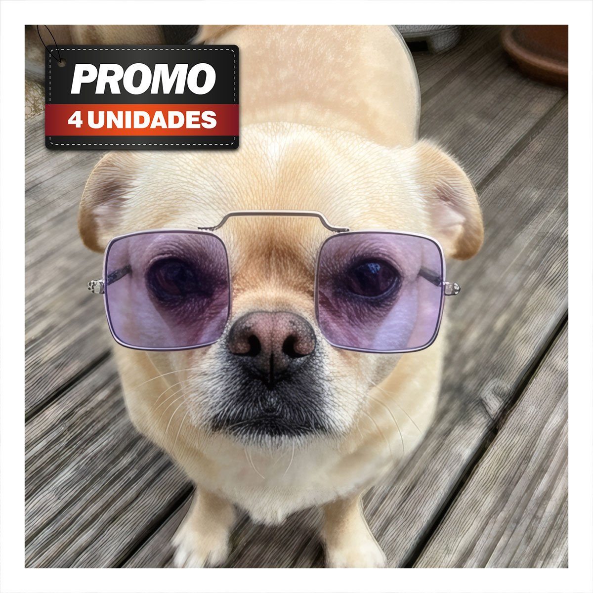PACK4 GAFAS MORADO PARA MASCOTA CON DISENO MODERNO PARA EVENTOS ESPECIALES YPAPEL REGALO - 1