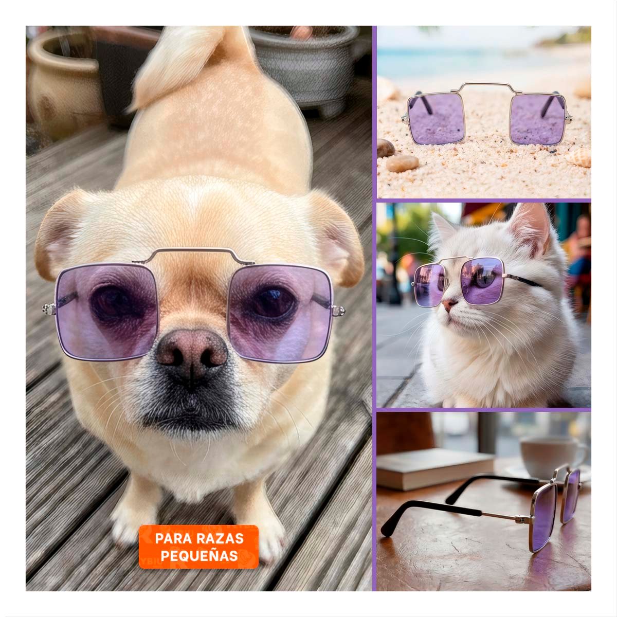 PACK4 GAFAS MORADO PARA MASCOTA CON DISENO MODERNO PARA EVENTOS ESPECIALES YPAPEL REGALO - 3