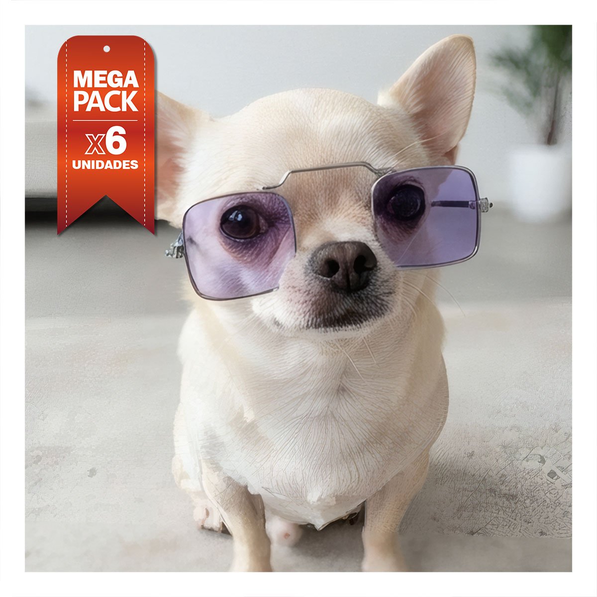 PACK6 ANTEOJOS PARA MASCOTA MORADO CON ESTILO CUADRADO PARA DISFRACES YREGALO STICKER - 1