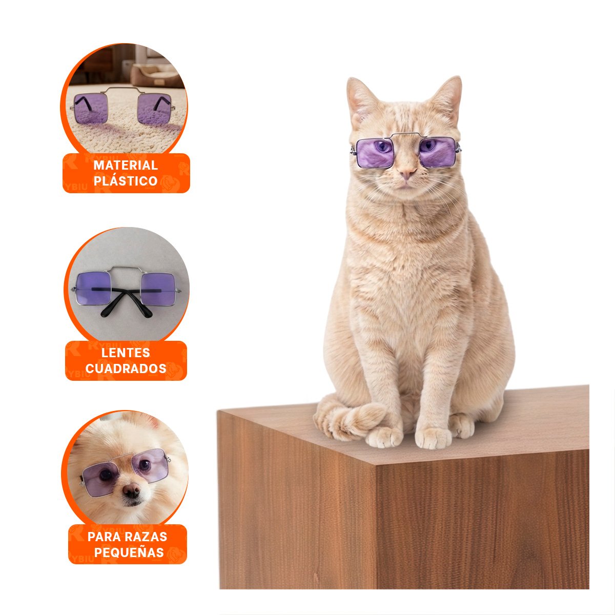 PACK6 ANTEOJOS PARA MASCOTA MORADO CON ESTILO CUADRADO PARA DISFRACES YREGALO STICKER - 4