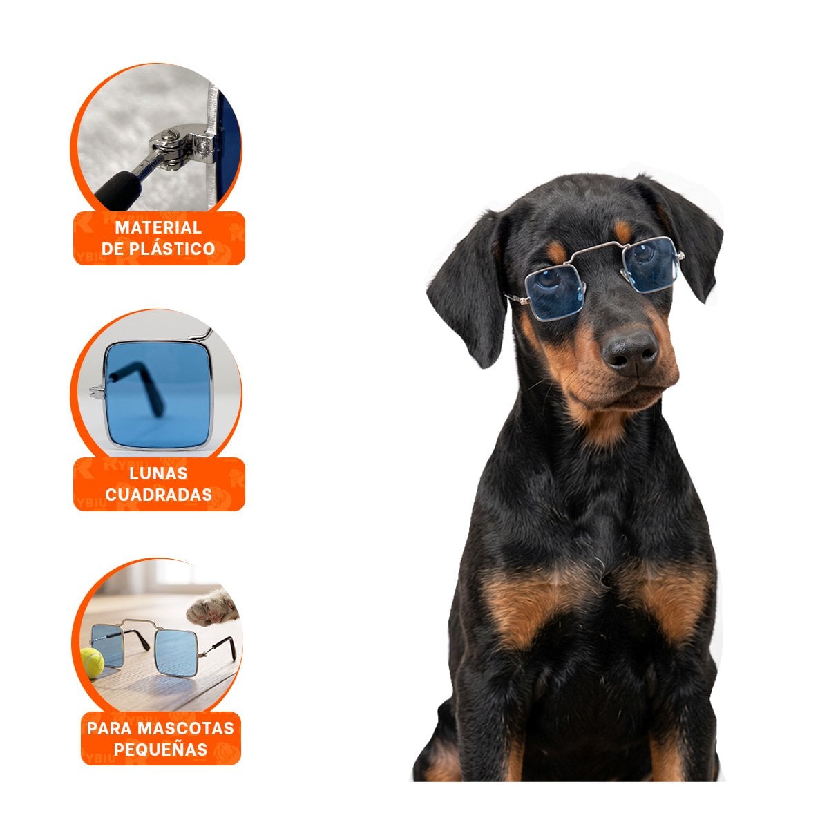 PACK2 ACCESORIO AZUL PARA MASCOTA CON LENTES CUADRADOS PARA SESIONES DE FOTOS YREGALO STICKER - 4