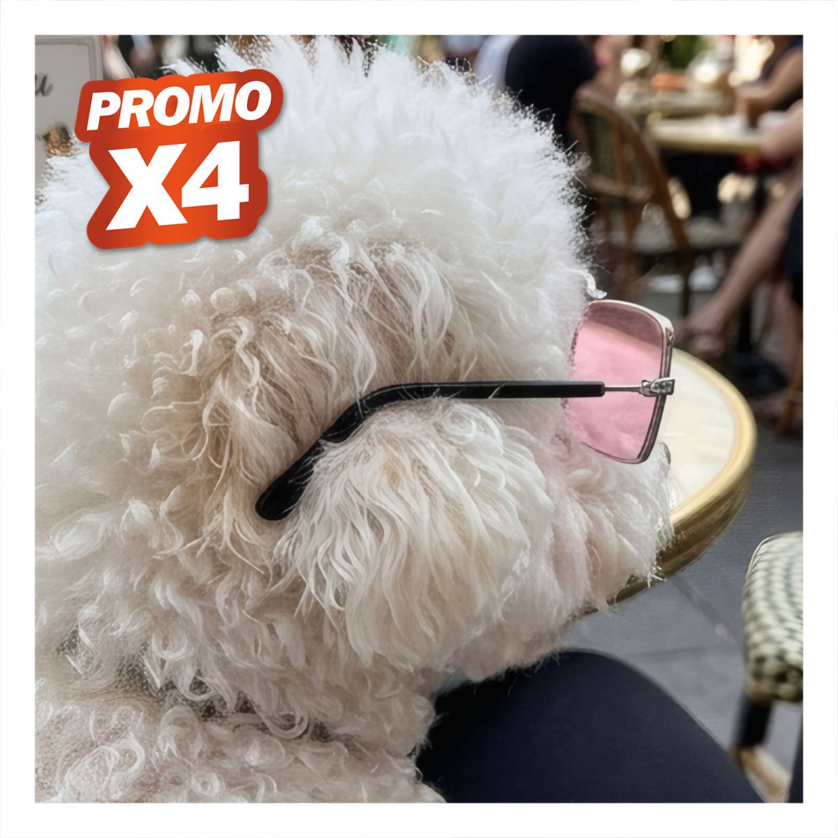 PACK4 ANTEOJOS PARA MASCOTA CON MARCO CUADRADO NEGRO PARA PASEOS DIARIOS YREGALO STICKER - 1