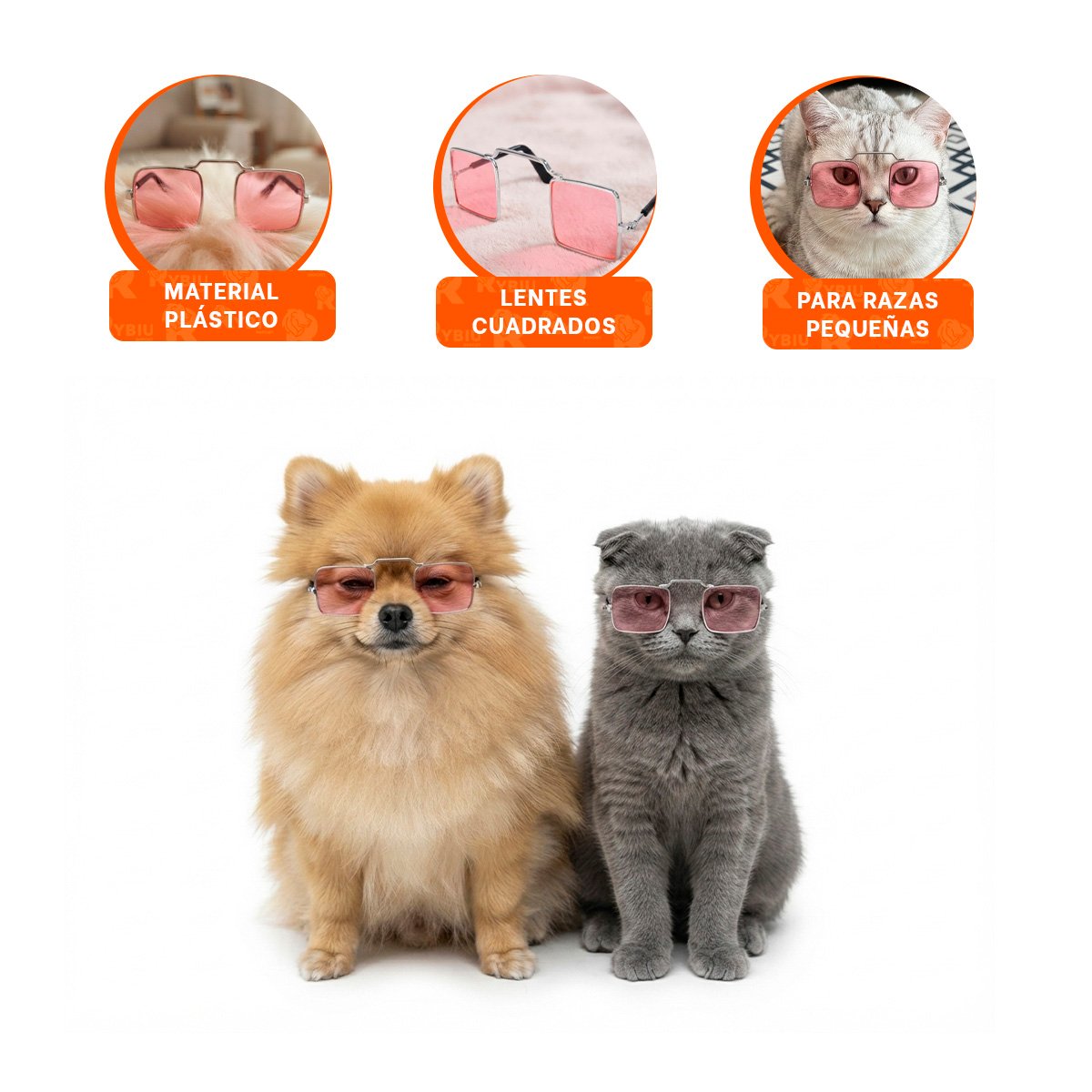 PACK4 ANTEOJOS PARA MASCOTA CON MARCO CUADRADO NEGRO PARA PASEOS DIARIOS YREGALO STICKER - 4