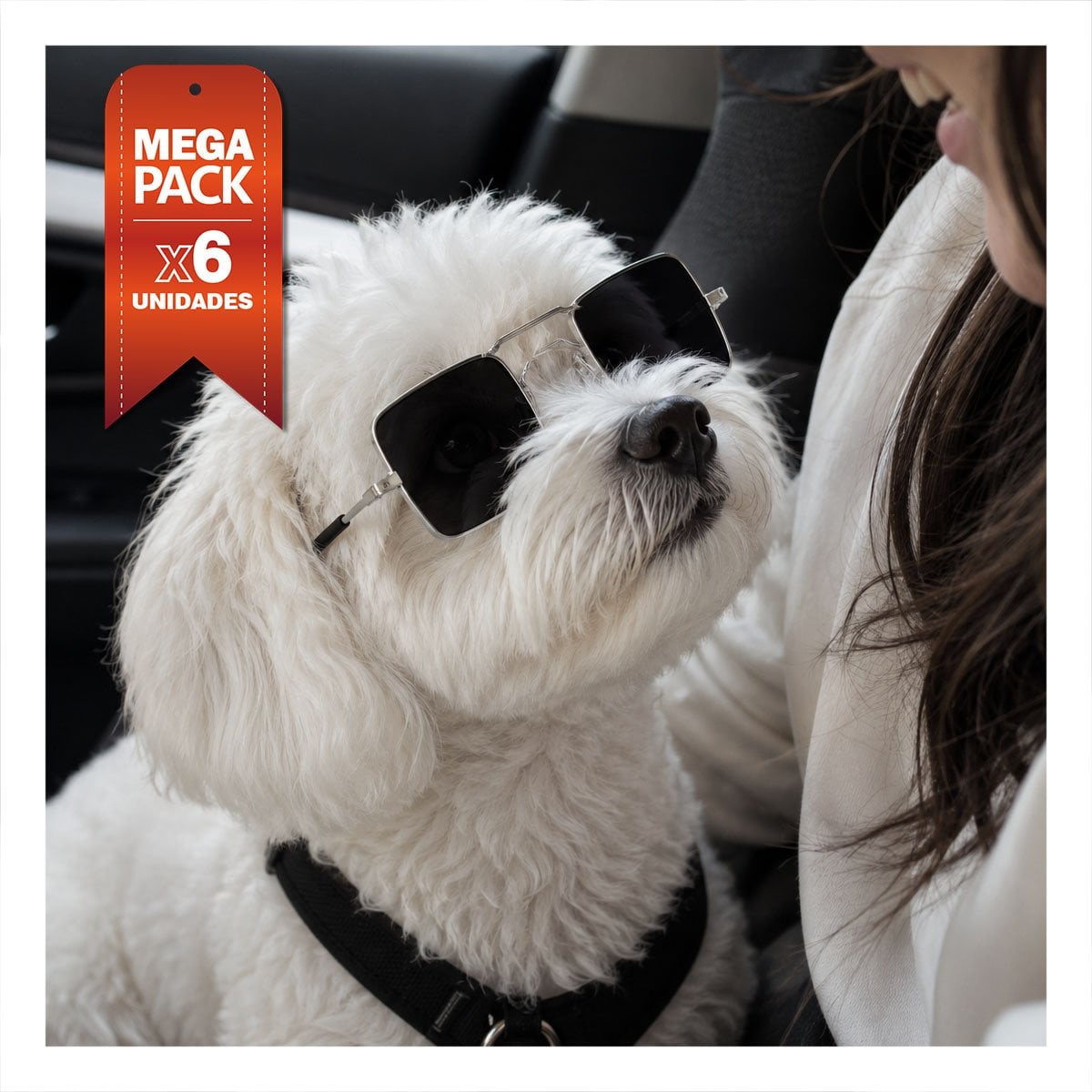 PACK6 ANTEOJOS PARA MASCOTA NEGRO CON ESTILO CUADRADO PARA DISFRACES YREGALO STICKER - 1