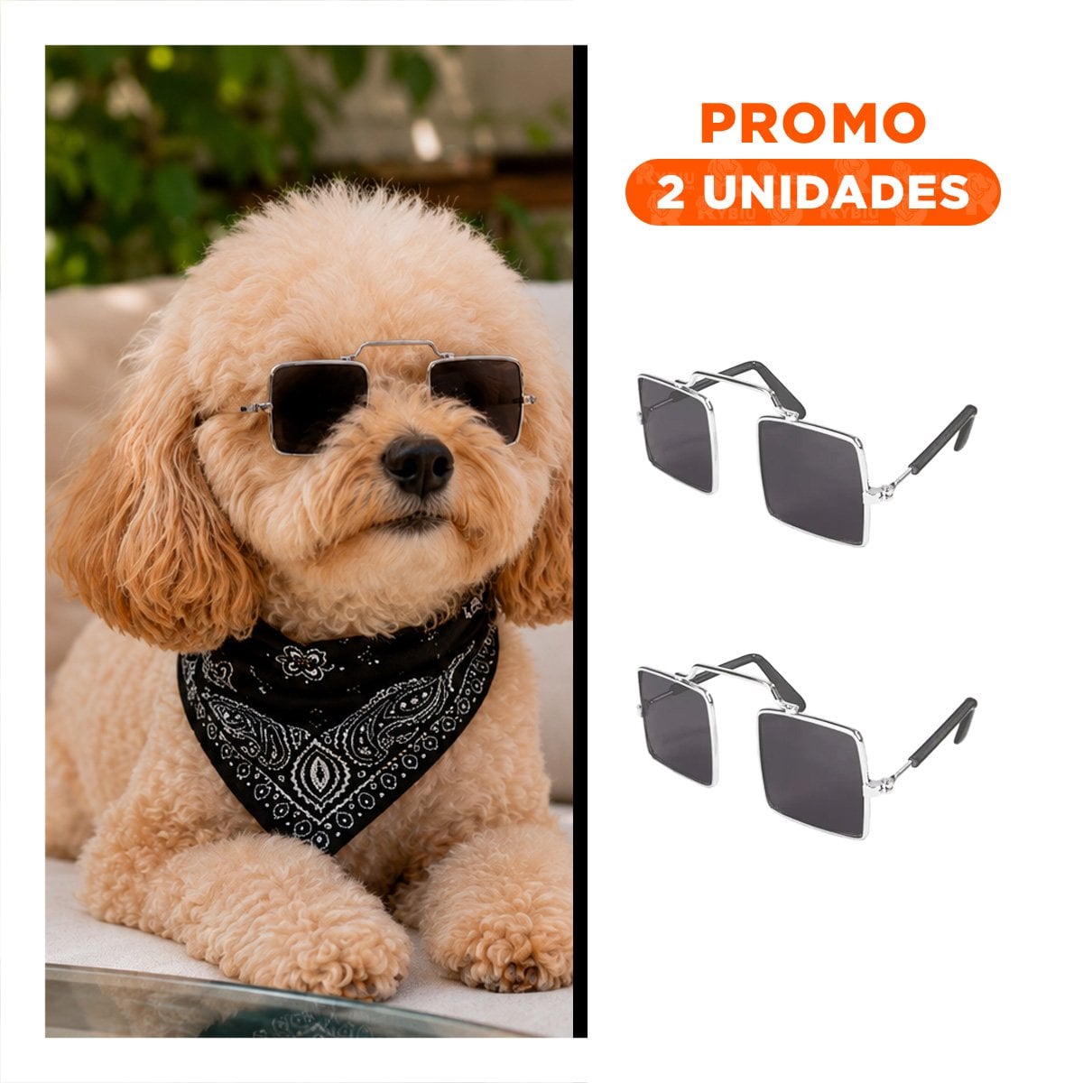 PACK2 GAFAS PARA MASCOTA CON MARCO CUADRADO NEGRO PARA DISFRACES Y PASEOS - 1