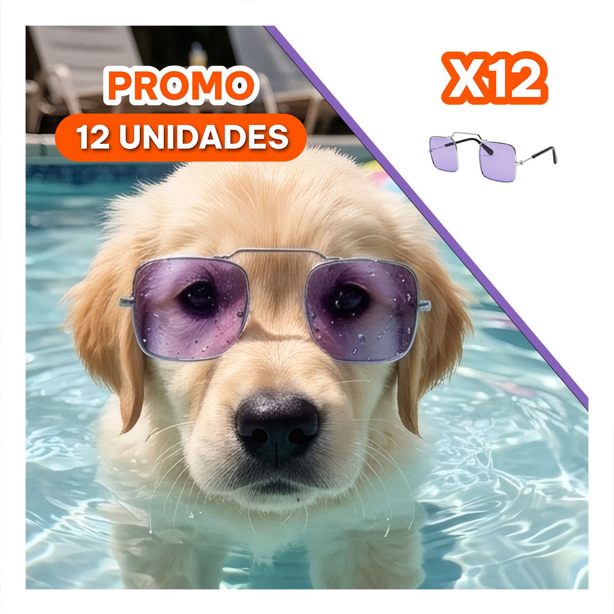 PACK12 LENTES PARA MASCOTA CON FORMA CUADRADA MORADO PARA REUNIONES FAMILIARES - 1