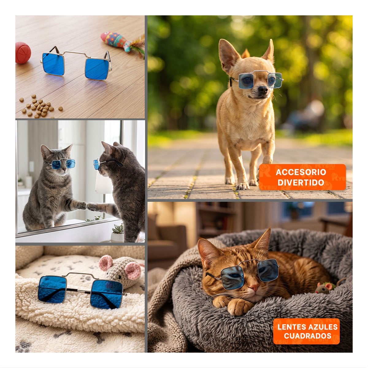 PACK6 GAFAS DECORATIVAS PARA MASCOTA AZUL CON FORMA CUADRADA PARA FOTOGRAFIA YPAPEL REGALO - 3