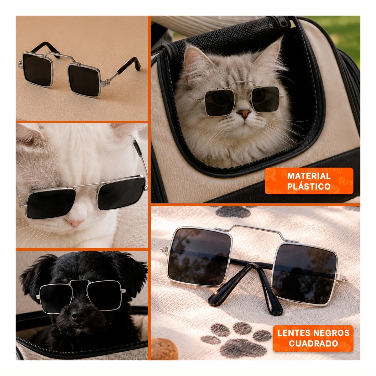 PACK6 GAFAS DECORATIVAS PARA MASCOTA NEGRO CON FORMA CUADRADA PARA FOTOGRAFIA YPAPEL REGALO - 3