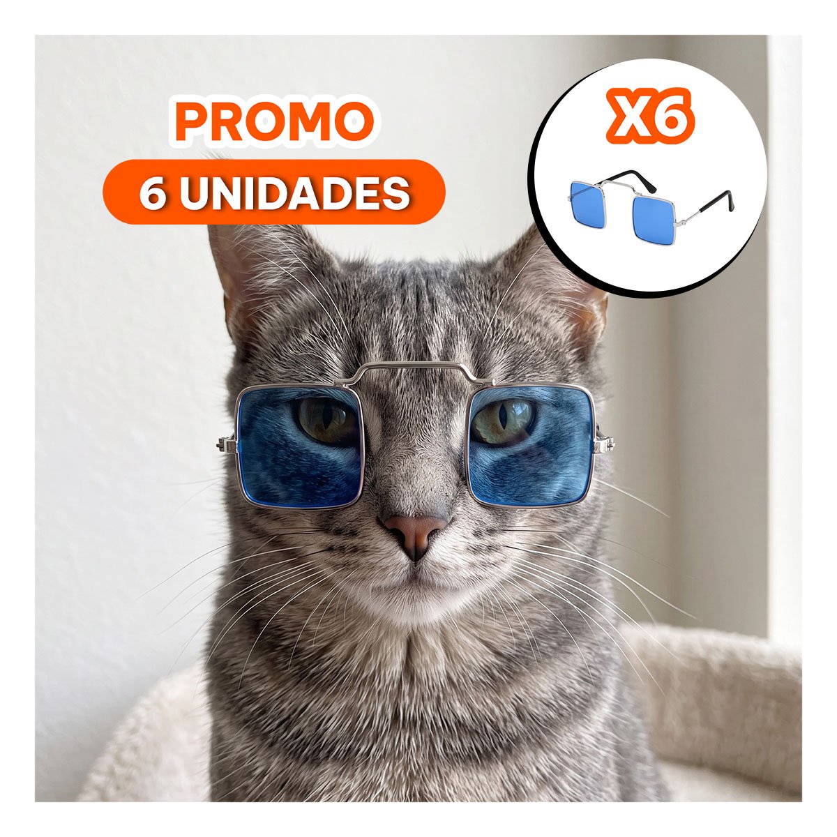 PACK6 LENTES CUADRADOS PARA MASCOTA CON ESTILO AZUL PARA USO DECORATIVO - 1