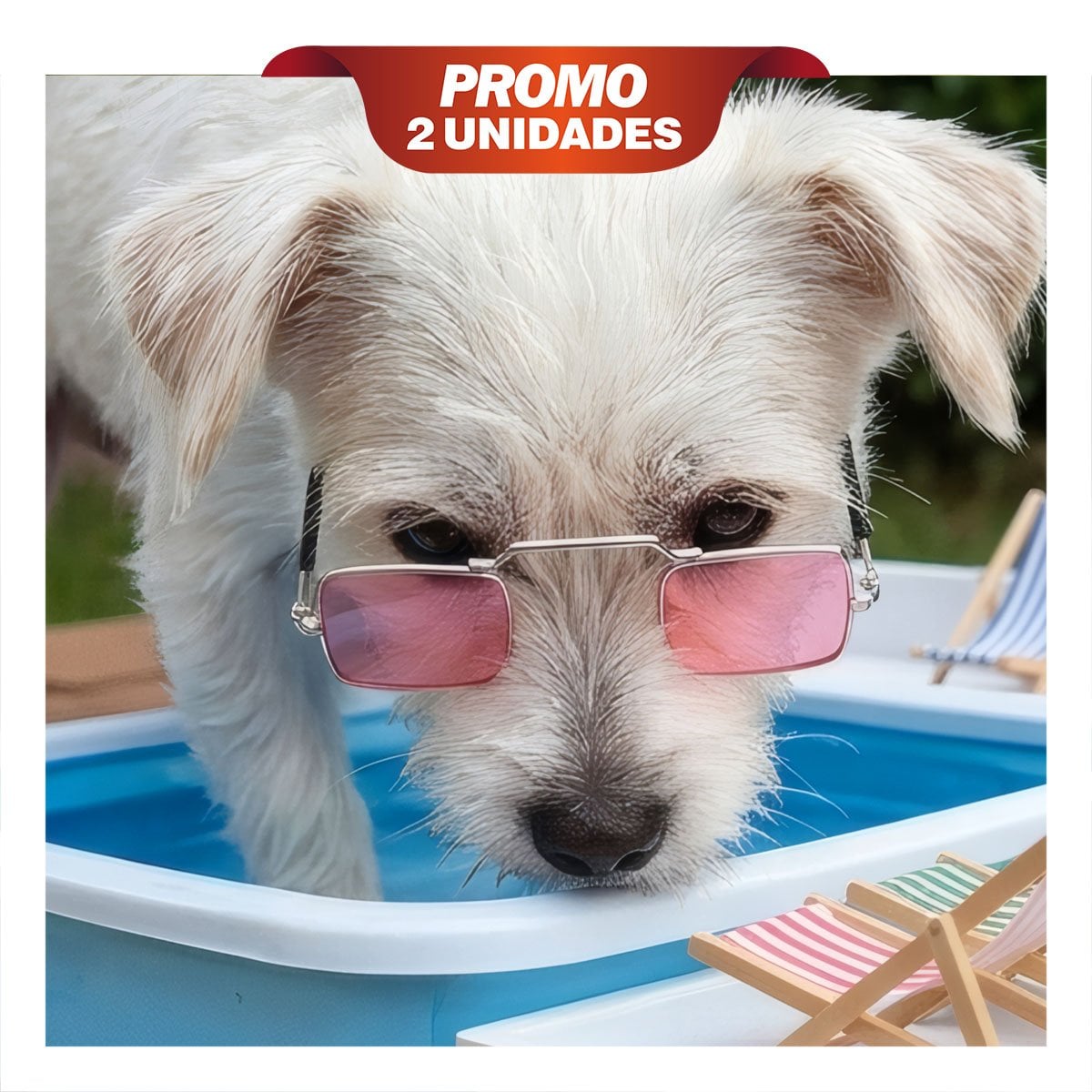 PACK2 ACCESORIO NEGRO PARA MASCOTA CON LENTES CUADRADOS PARA SESIONES DE FOTOS YREGALO STICKER - 1