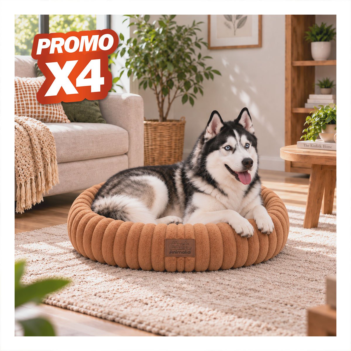 PACK4 COLCHONETA DONA REDONDA A RAYAS PARA MASCOTAS COMODA PARA DESCANSO YREGALO STICKER - 1