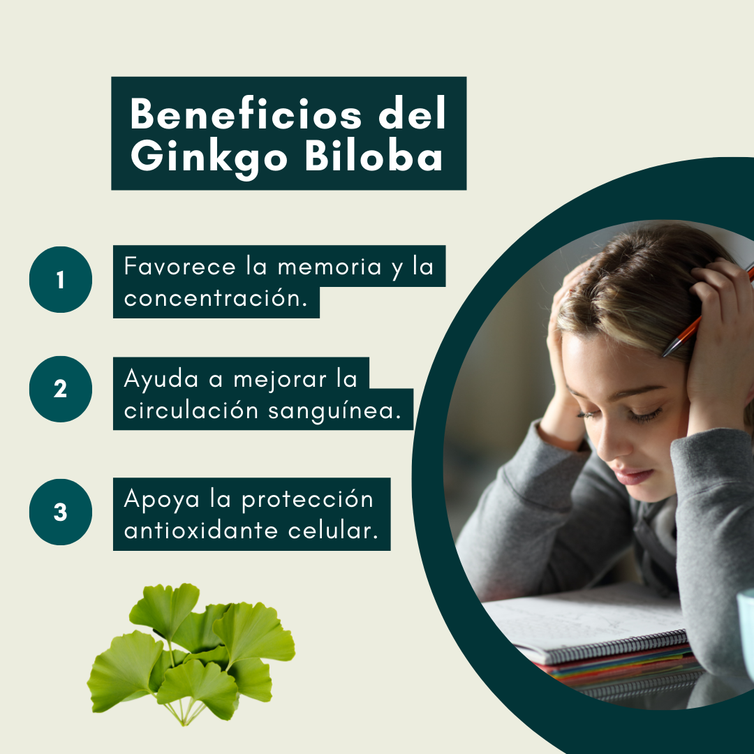 SUPLEMENTO DINOA CÁPSULAS BLANDAS GINKGO BILOBA 100 UNIDADES - 2