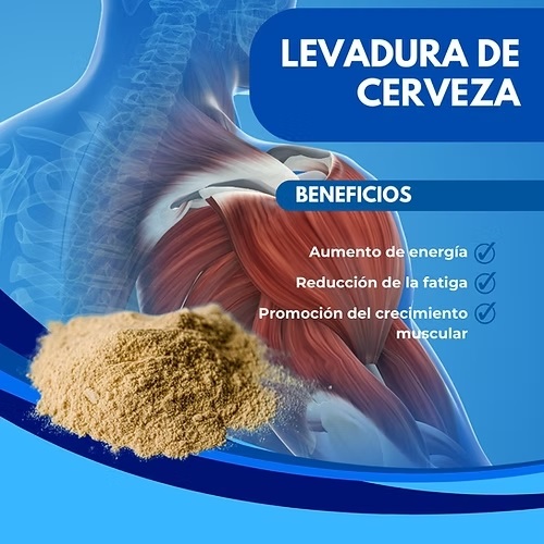 SUPLEMENTO DINOA CÁPSULAS BLANDAS LEVADURA DE CERVEZA 100 UNIDADES - 2