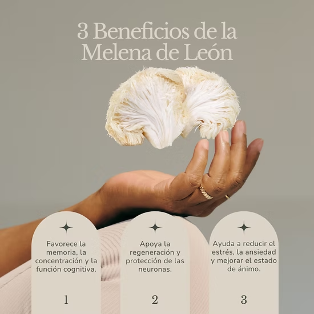 MELENA DE LEÓN DINOA POTE DE 80GR / BIENESTAR / CONCENTRACIÓN / SALUD CEREBRAL - 2
