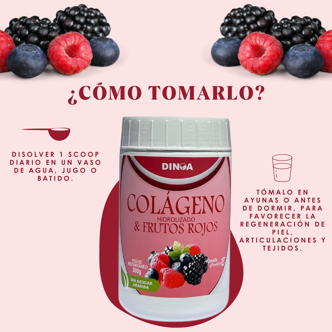 COLÁGENO HIDROLIZADO CON FRUTOS ROJOS DINOA P0TE X 300G -BELLEZA - VITALIDAD CELULAR - 3