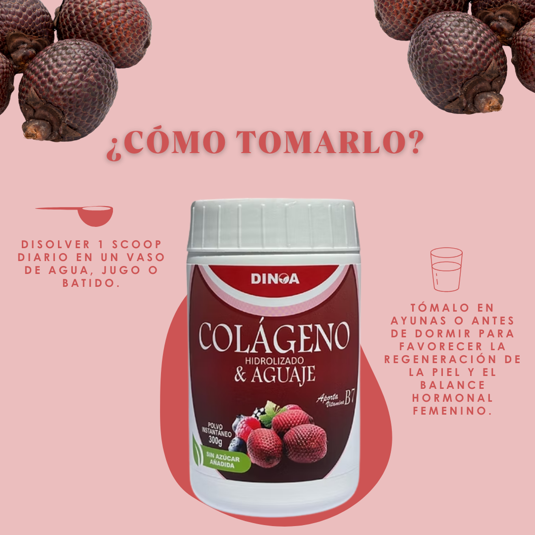 COLÁGENO HIDROLIZADO CON AGUAJE DINOA POTE X 300G / BELLEZA - EQUILIBRIO FEMENINO - 3