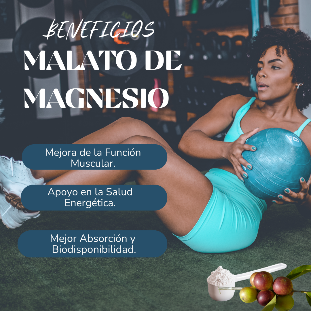 MALATO DE MAGNESIO DINOA POTE DE 300G /ENERGÍA /RENDIMIENTO/SALUD MUSCULAR - 2
