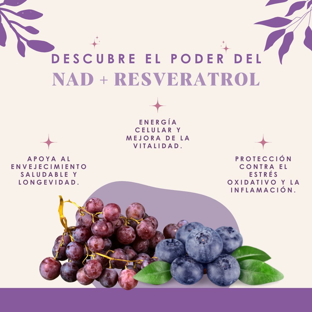 NAD + RESVERATROL DINOA POTE 80G / LONGEVIDAD / SALUD CELULAR - 2