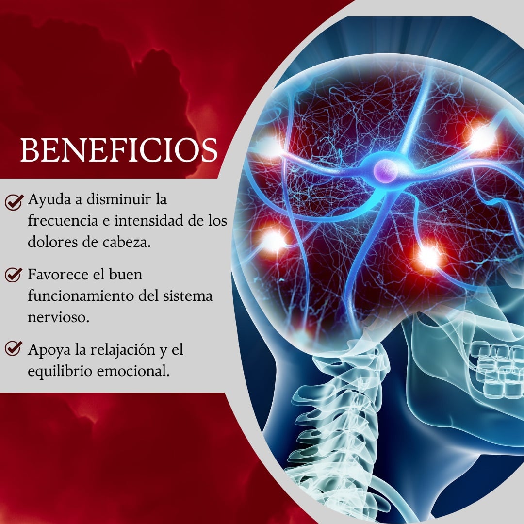 COMPLEJO B- FORTE DINOA CÁPSULA X 100 - ENERGÍA-MENTE ACTIVA - 2