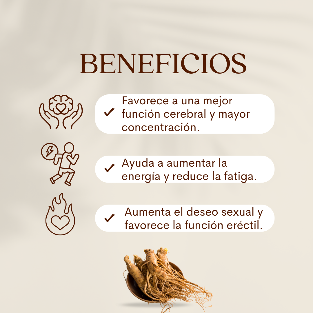 GINSENG DINOA CÁPSULAS X 100 /ENERGÍA /VITALIDAD MENTAL - 2