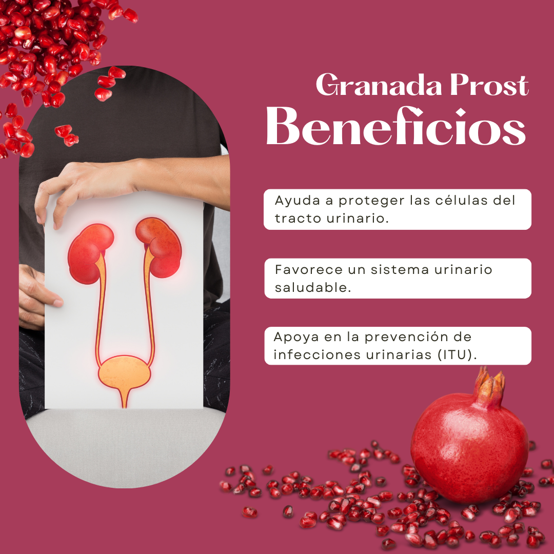 GRANATUM (GRANADA) DINOA CÁPSULAS X 100 /SALUD URINARIA /ANTIOXIDANTES - 2