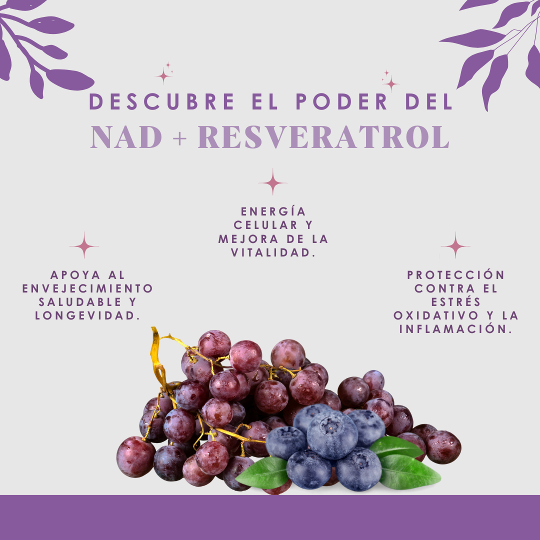 NAD + RESVERATROL DINOA CÁPSULAS X 100 / LONGEVIDAD SALUDABLE - 2