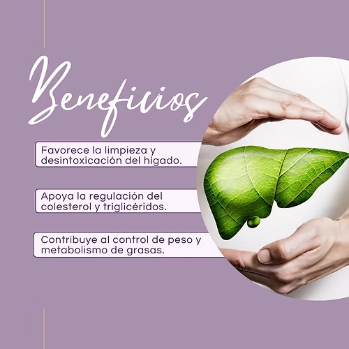 HERCAMPURI DINOA CAPSULAS X 100 / SUPLEMENTO NATURAL DEPURATIVO - 2