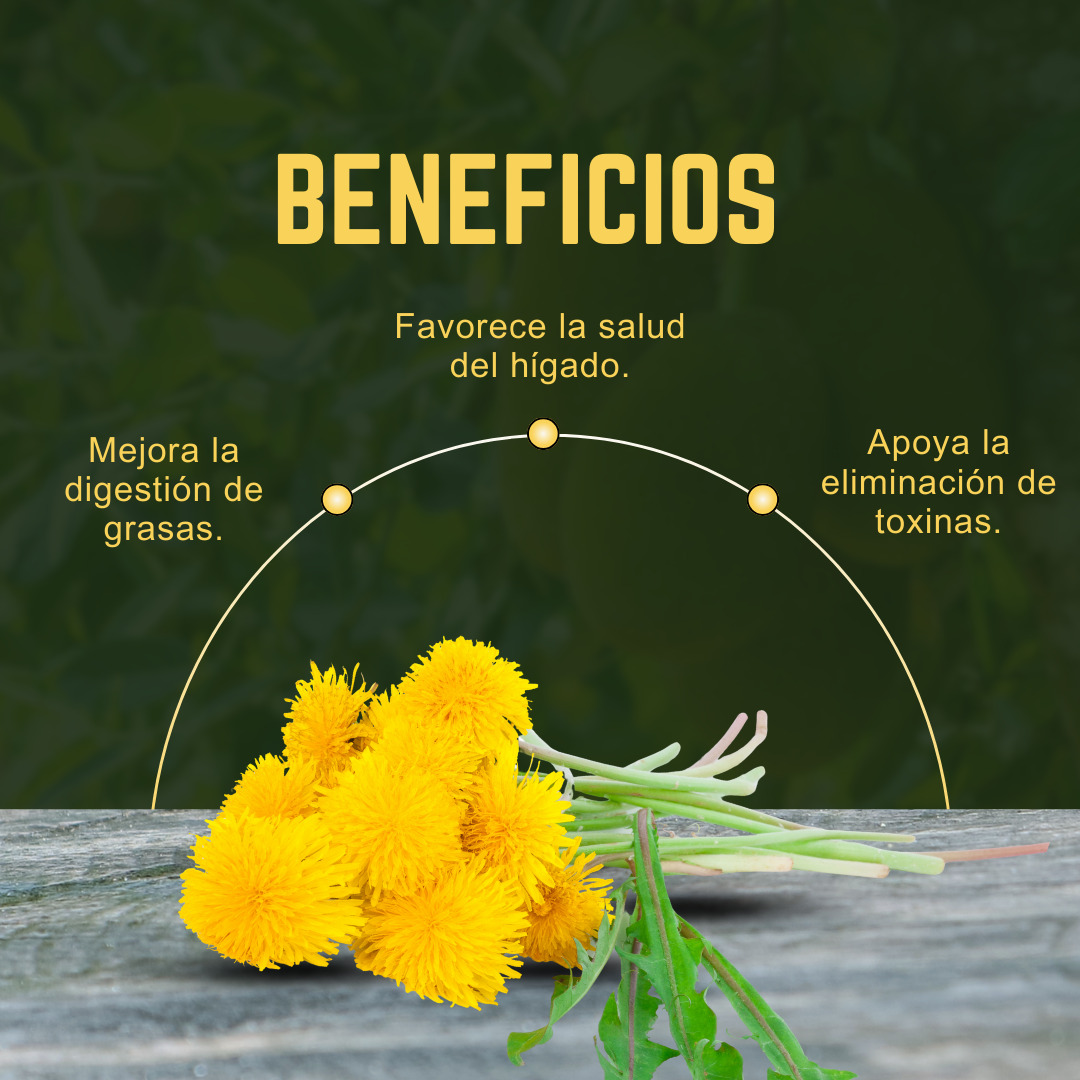 DIENTE DE LEÓN DINOA CAPSULAS X 100-DETOX NATURAL / SALUD HEPÁTICA - 2