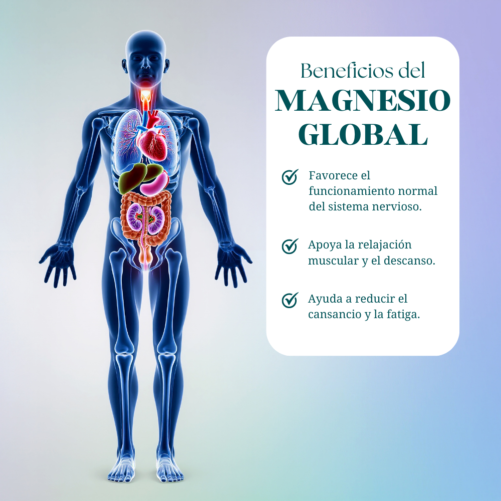 MAGNESIO GLOBAL DINOA X 100 CÁPSULAS  /APOYO MUSCULAR/ NERVIOSO/ENERGÍA NATURAL - 2