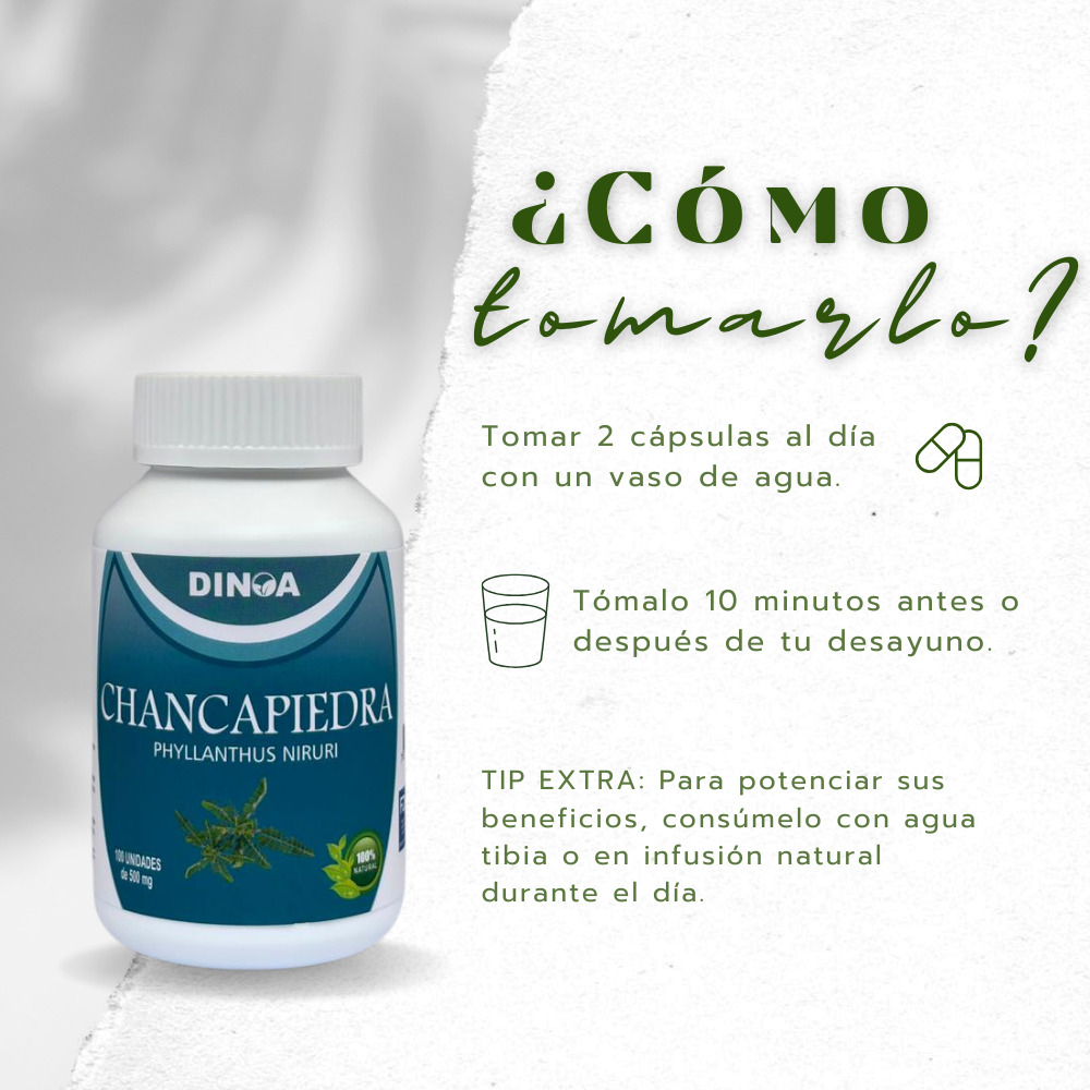 CHANCA PIEDRA DINOA CAPSULAS X 100 /APOYO RENAL/ BIENESTAR URINARIO - 3