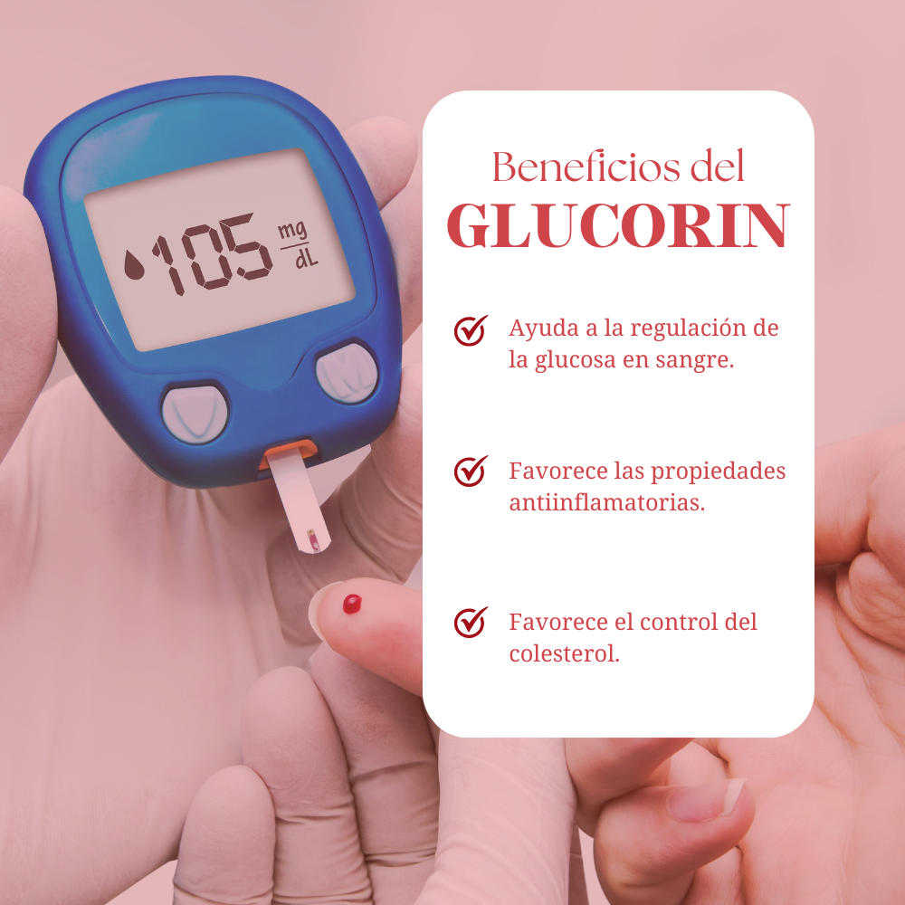 GLUCORIN (CANELA-KIÓN) DINOA CÁPSULAS X 100  / EQUILIBRIO DE LA GLUCOSA - 2