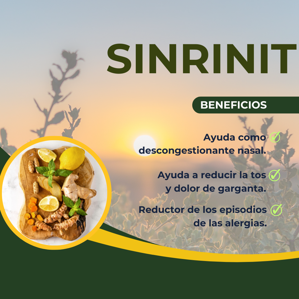 SINRINIT DINOA CÁPSULAS X 100 / MENTA Y CÚRCUMA / BIENESTAR RESPIRATORIO /DESCONGESTIONANTE NATURAL - 2