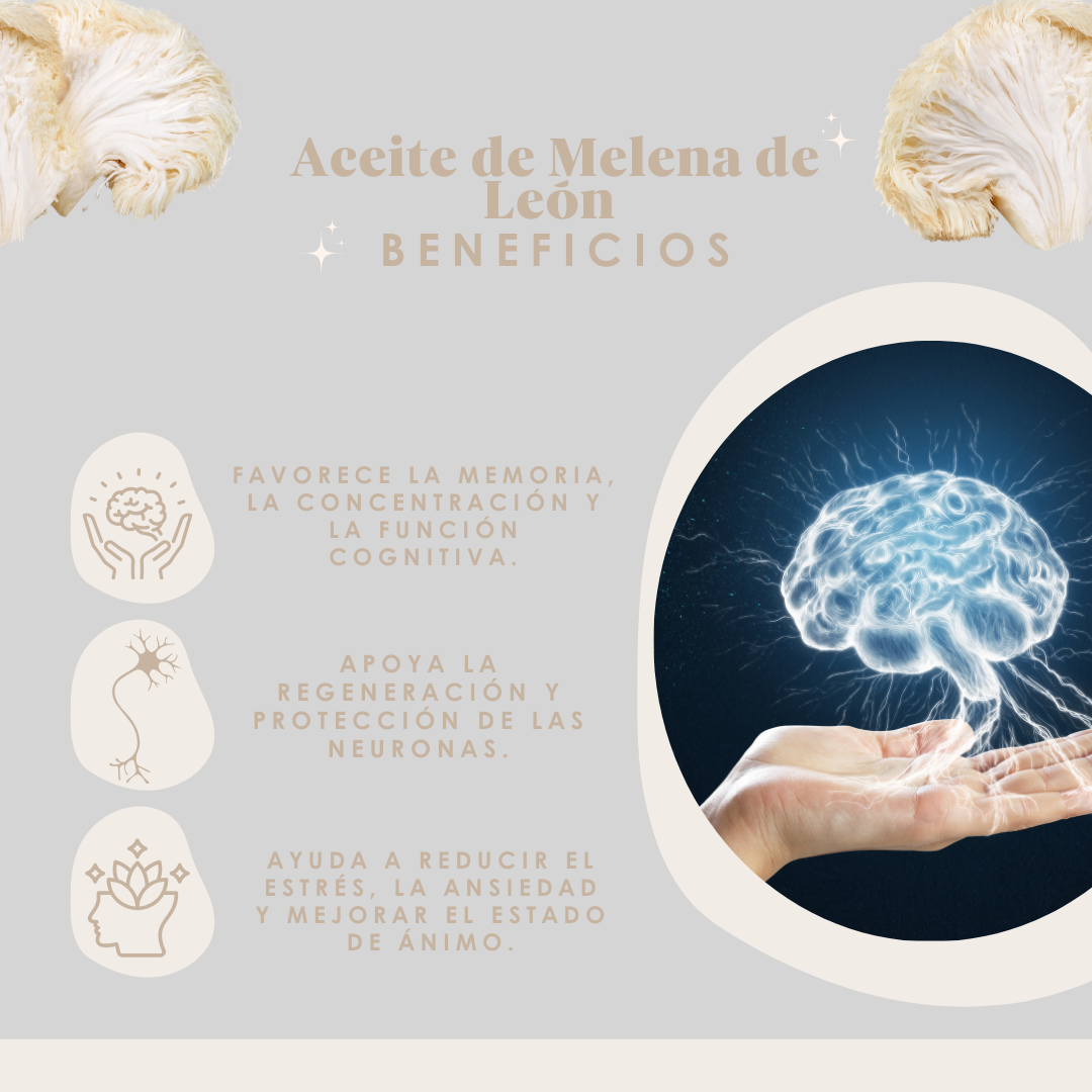 ACEITE DE MELENA DE LEÓN TASKI 30ML /MEMORIA /FOCO Y BIENESTAR - 2