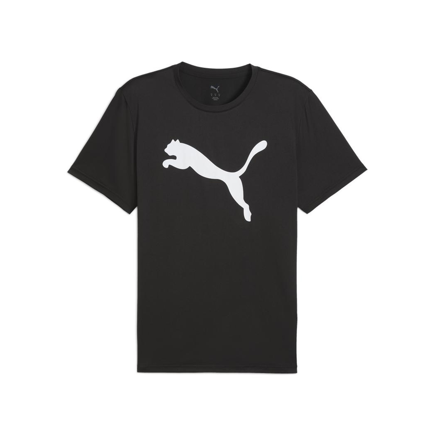 POLOS PUMA M TAD ESSENTIALS SOLID CAT TEE (CF BIG C TRAINING HOMBRE - 1
