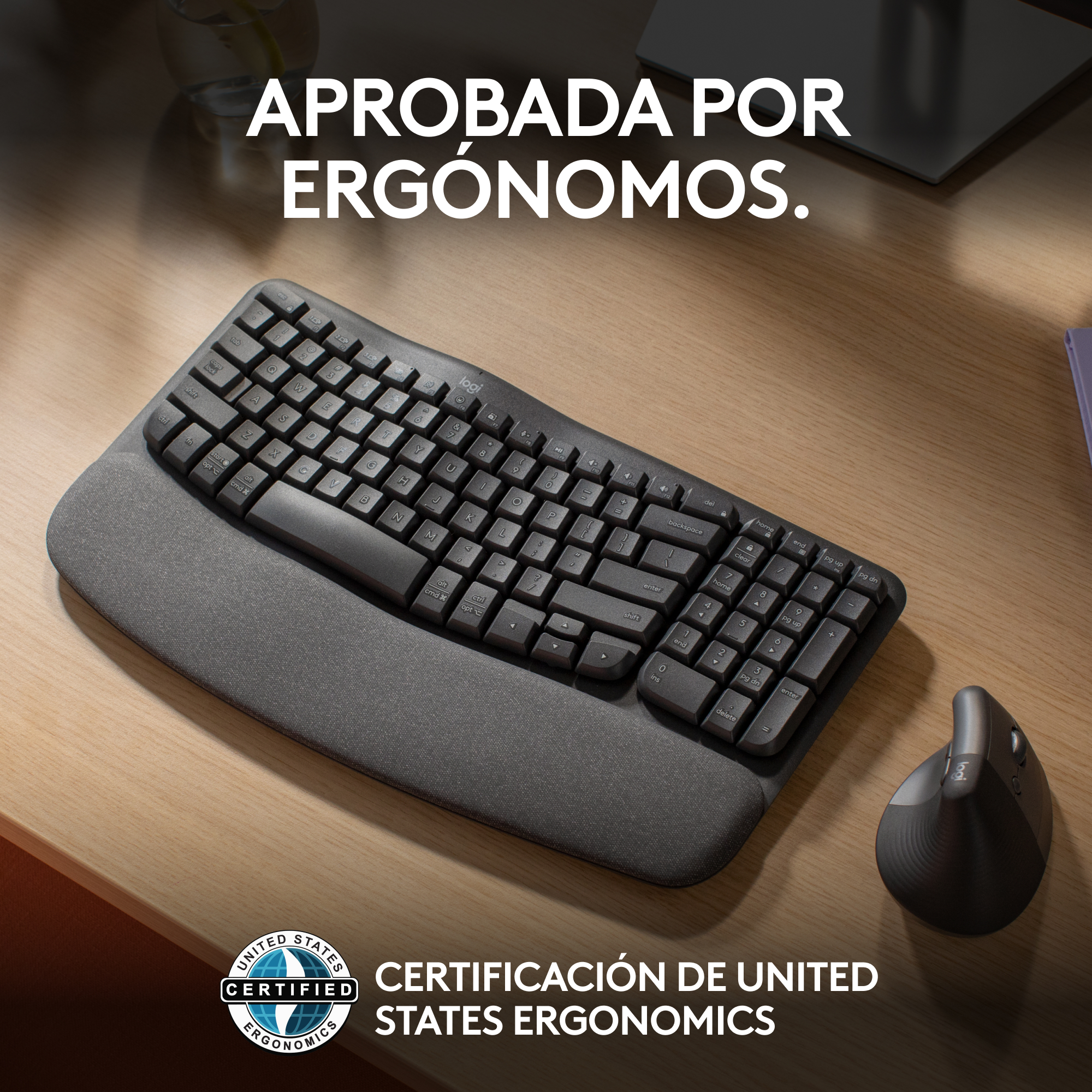 COMBO LOGITECH ERGONÓMICO TECLADO WAVE + MOUSE LIFT NEGRO - 4