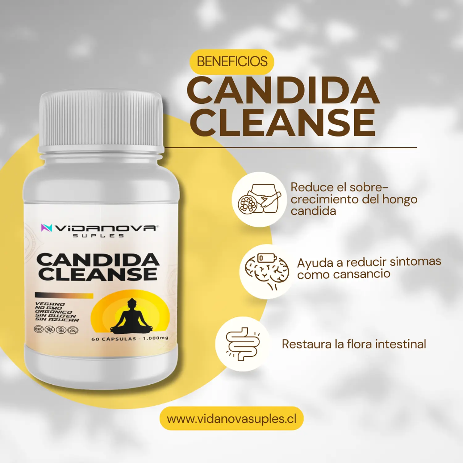 CANDIDA CLEANSE (EN CAJA) - 4