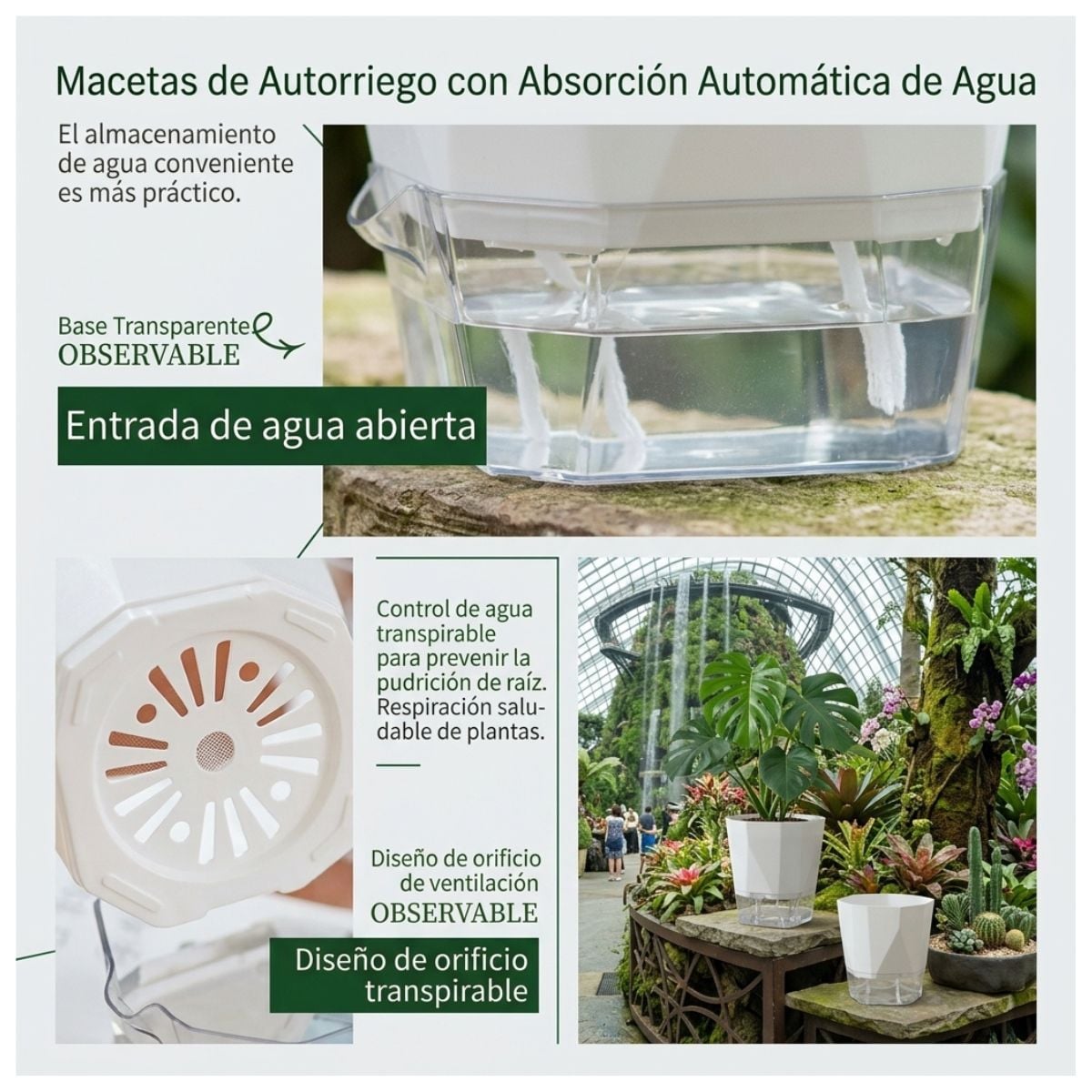 MACETA CON SISTEMA AUTORRIEGO DE BASE ACRÍLICO - 5