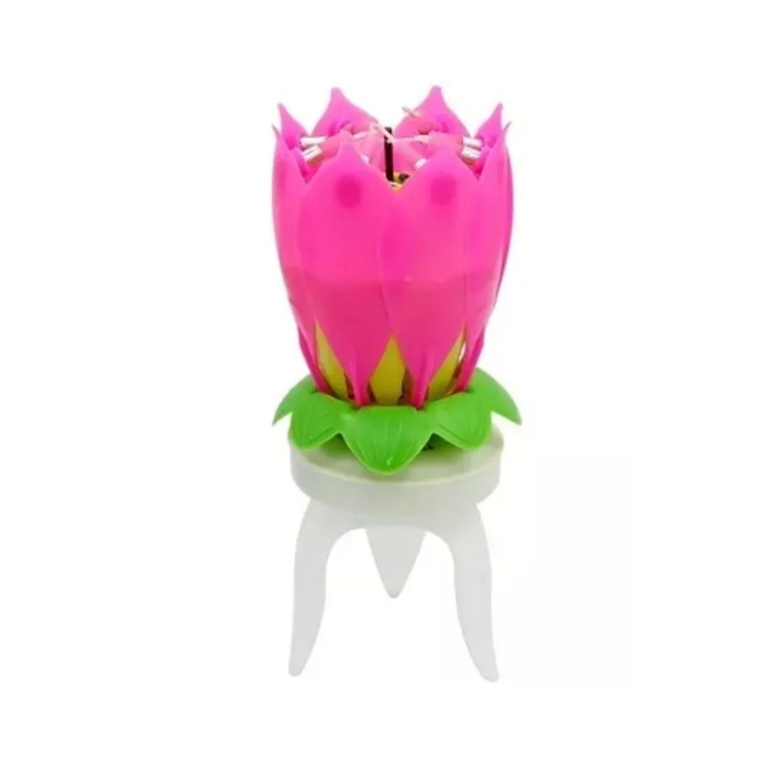 VELA ROSA MUSICAL - 2