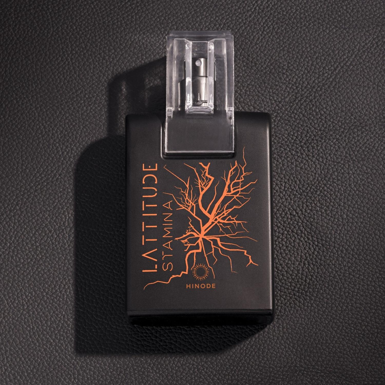 LATTITUDE STAMINA PERFUME DE HOMBRE 100ML - 9